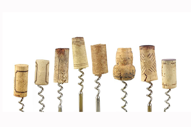 A line of corks on top of individual corkscrews